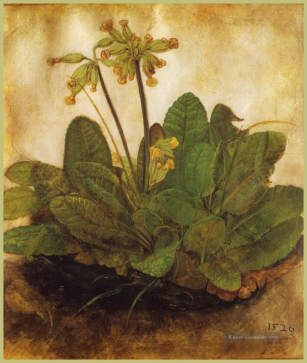 Primula Albrecht Dürer Klassische Blumen Ölgemälde